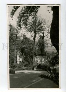 289532 SOUTH AFRICA CAPE TOWN Rhodes monument Vintage RPPC