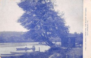 Saylorsburg Pennsylvania Lily Pond by Bishop Cottages Vintage Postcard AA82854