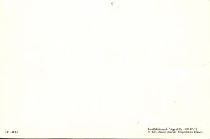 The Cat, Lounging     (pinhole)