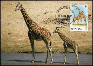 Uganda -Maximum card WWF Giraffe 1998 (3)