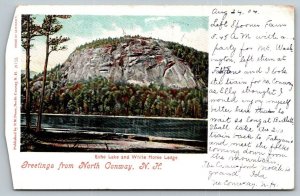 Greetings From North Conway  New Hampshire  Postcard  1904