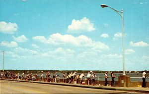 Maryland Ocean City Greetings Showing Bay Fishing