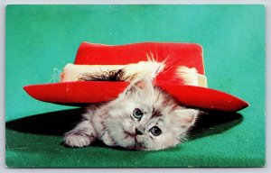 Animal~Gray Cat w/Blue Eyes Under Red Hat w/Feathers~Pond Photo~Chrome Postcard