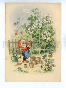 195844 Gnome plants sprouts in pots BAUMGARTEN postcard