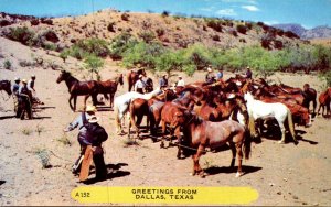 Texas Dallas Greetings With Horse Round Up