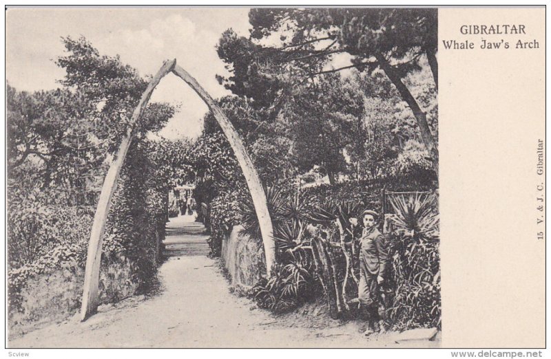 GIBRALTAR, 1900-1910s; Whale Jaw's Arch