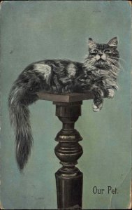 Fluffy Gray Cat on Pedestal c1910 Gel Vintage Postcard