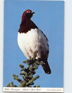 Postcard Willow Ptarmigan, Alaska's State Bird, Alaska
