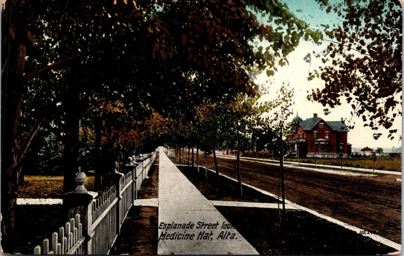 Medicine Hat Alberta Canada Esplanade Street Postcard used 1900s/10s