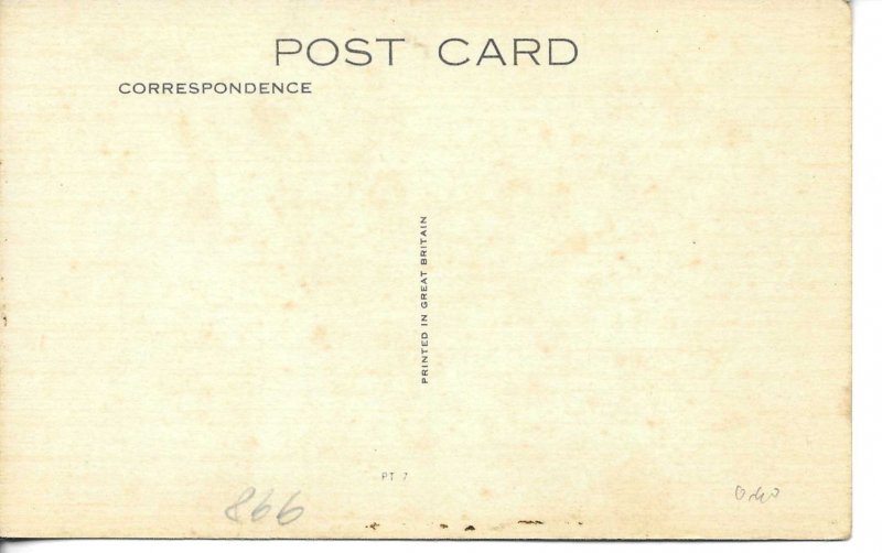 Animals. Dog Old vimntage English photo postcard