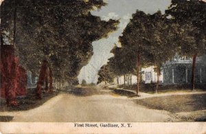 Gardiner New York First Street Vintage Postcard AA8631