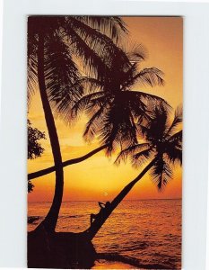 Postcard Tropical Sunsets Hawaii USA