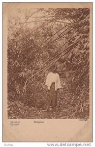 Woman Standing In The Middle Of The Woods, Djungel, Bangelan, Asia, 1900-1910s