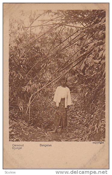 Woman Standing In The Middle Of The Woods, Djungel, Bangelan, Asia, 1900-1910s