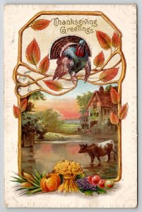 Thanksgiving Greetings Turkey And Country Scene Cow In Water Postcard K29