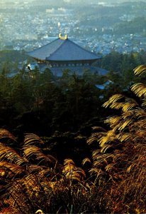 Japan Nara Todaiji Temple Distant View