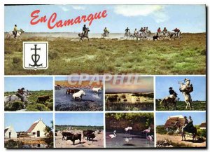 Postcard Modern Camargue