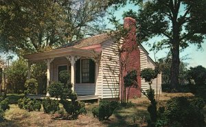 Vintage Postcard Ivy Green Birthplace Of Helen Keller Blind Author Tuscumbia AL