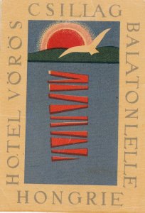 Hungary Balatonlelle Hotel Voros Csillag Vintage Luggage Label sk3822