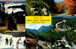 Greetings From Smoky Mountains National Park Multi View