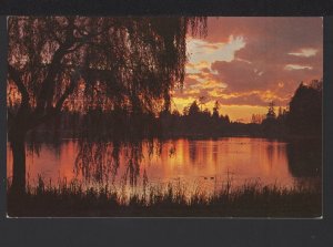 British Columbia VANCOUVER Stanley Park Lagoon Fresh-Water Lake Sunset - Chrome
