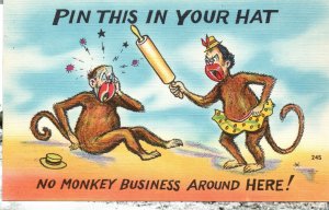 Pin This In Your Hat No Monkey Business Around Here Comic Vintage Postcard 1930
