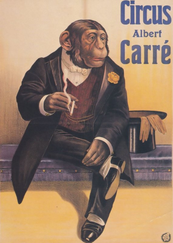 Circus Albert Carre Chimpanzee Smoking Harlem Poster Postcard