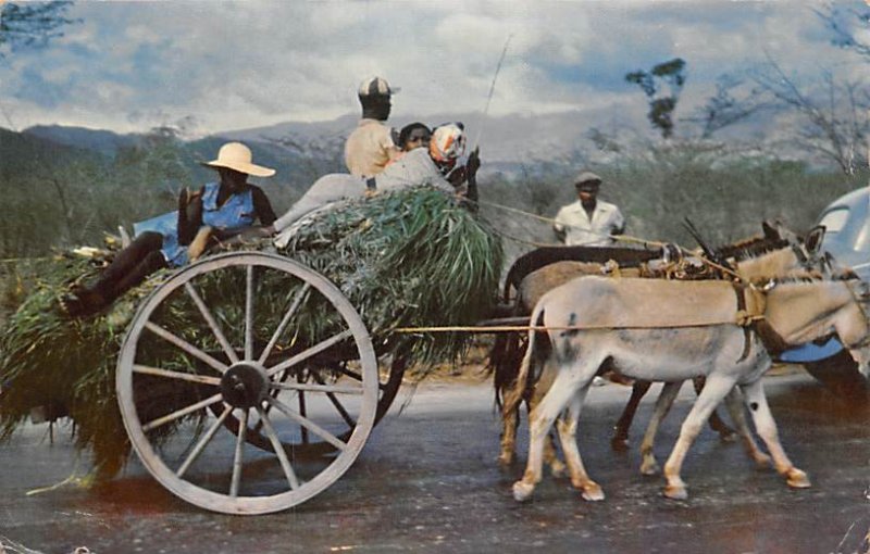 Homeward Bound! Jamaica 1957 