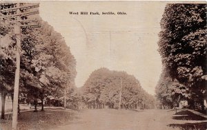 F68/ Seville  Medina Co Ohio Postcard c1910 West Hill Park Scene