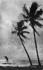 RPPC SUNSET & PALMS BY THE SEASHORE CEYLON - USA STAMPS REAL PHOTO POSTCARD 1956