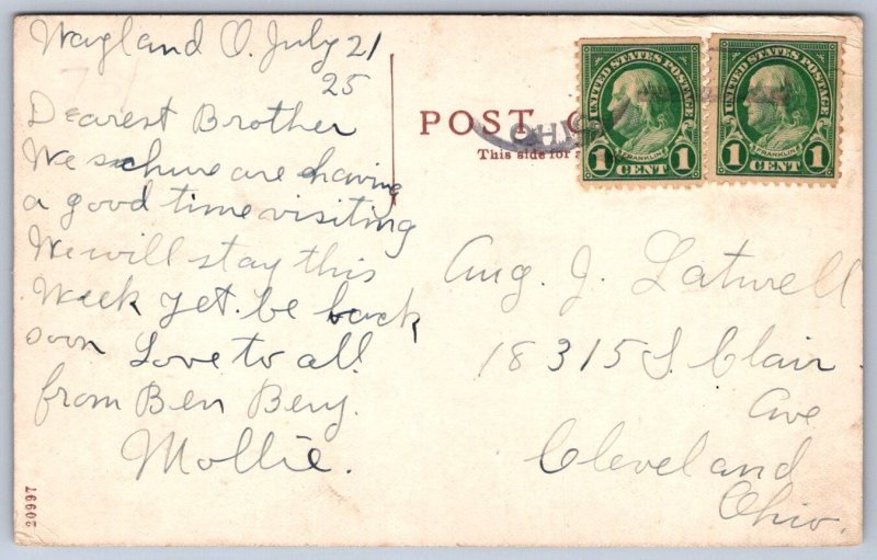 K51/ Wayland Ohio Postcard c1910 Birdseye View Stores Homes 20