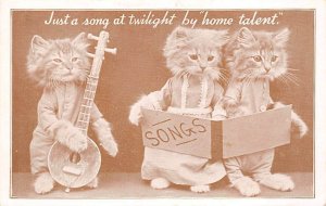 Musician Cats Cat Unused 