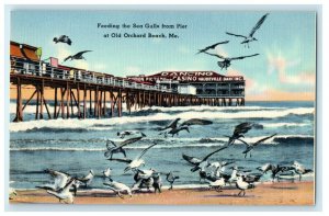 1942 Feeding the Sea Gulls from Pier, Old Orchard Beach, Maine ME Postcard