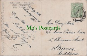 Genealogy Postcard - Parks, 5 Clarence Street, Staines, Middlesex GL54