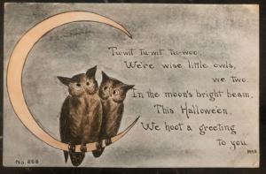 Mint Vintage USA Picture Postcard PPC  A Halloween Wise Little Owls We Two