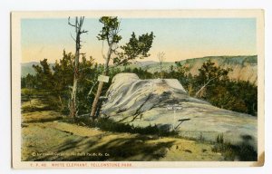 Postcard White Elephant Yellowstone Park Wyoming Standard View Card