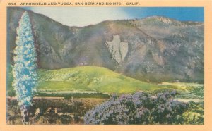 San Bernardino Mountains California Arrowhead & Yucca Linen Postcard Unused