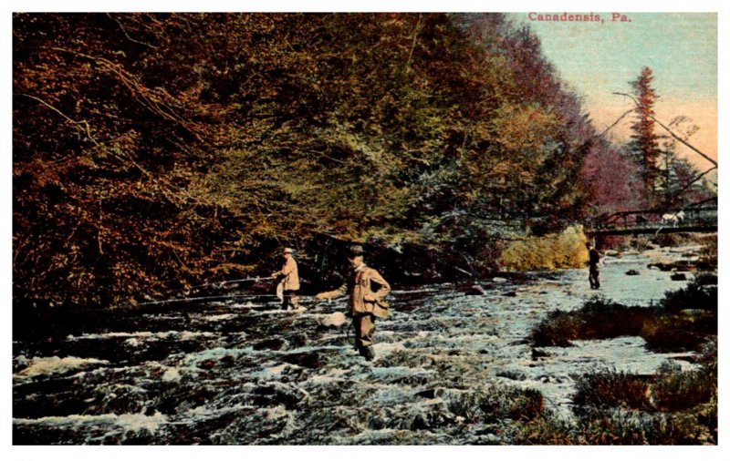 Pennsylvania Canadensis Trout fishing Broadheads Creek