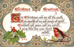 1909 This Christmas Rise Sounds of Joy and Songs Bird Greetings Vintage Postcard