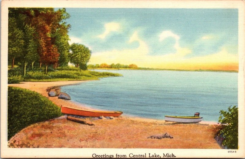 Scenic View, Greetings From Central Lake MI Vintage Postcard Q49