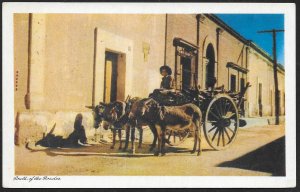 South of the Border Man & Donkey Pulled Cart MEXICO Unused c1940s