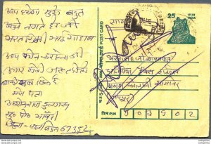 India Postal Stationery Tiger 25