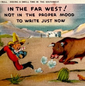 El Paso Texas Southwestern Comic Postcard Bull Cowboy c1940s DWS5C