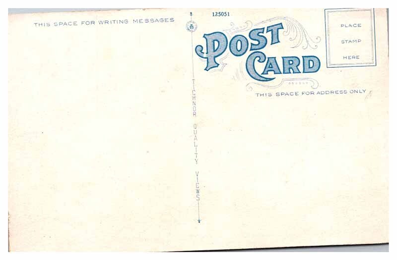 Postcard HOUSE SCENE Flint Michigan MI AT7213