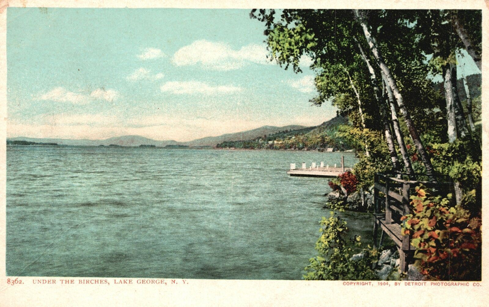 Vintage Postcard Under The Birches Scenic Picturesque View Lake