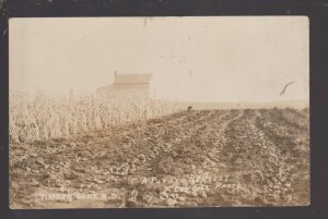 Timber Lake SOUTH DAKOTA RPPC c1910 POTATO HARVEST Farm Farming CUNDILL SD