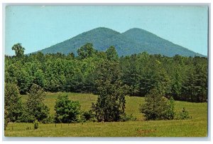 c1950 Twin Peak Kennesaw Mountain National Battlefield Park Marietta GA Postcard