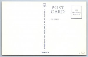 Canada Flag, Rocky Mountains, Vintage Chrome Postcard