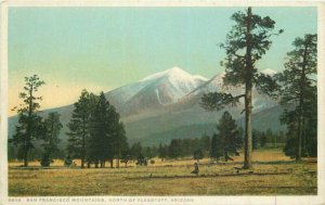 C1910 San Francisco Mountains Flagstaff Arizona Detroit Publishing Postcard 9812