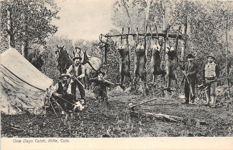 J24/ Rifle Colorado Postcard c1910 Deer Hunting Rifles Men Camping 209